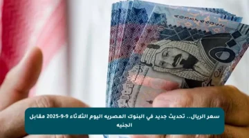 سعر الريال.. تحديث جديد في البنوك المصرية اليوم الثلاثاء 9-9-2025 مقابل الجنيه